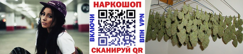 Где купить наркотики Зеленокумск Псилоцибиновые грибы Амфетамин Гашиш Меф Канабис