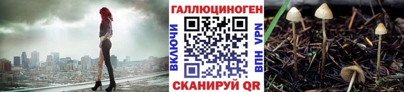 Галлюциногенные грибы MAGIC MUSHROOMS  наркота  Зеленокумск 